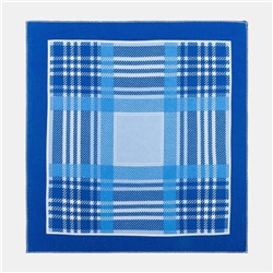 Платки носовые мужские «Этель», 30×30 см, набор 12 шт., голубые, рисунок МИКС, хлопок 100%