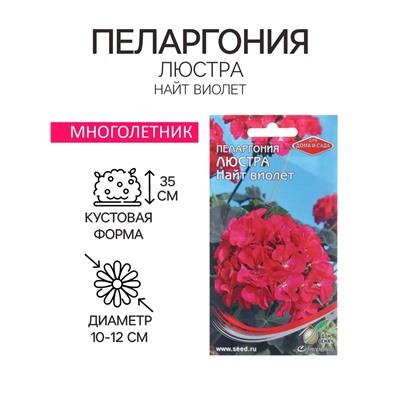 Семена цветов Пеларгония "Люстра Найт виолет", 4 шт