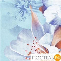 CASSIA БЕРГАМА КПБ 200х220( +/-5см)-1/215х250-1/50х70-2, 4 пр., хл./сатин