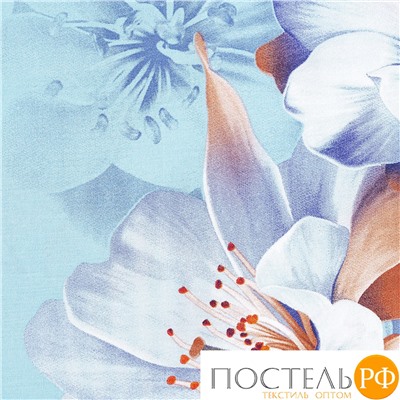 CASSIA БЕРГАМА КПБ 200х220( +/-5см)-1/215х250-1/50х70-2, 4 пр., хл./сатин