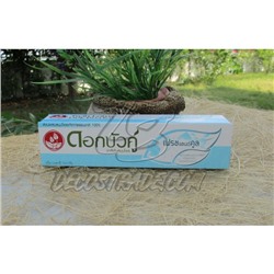 Растительная зубная паста  "Свежесть"от Twin Lotus, Fresh & Cool Herbal Toothpaste, 100 гр