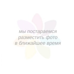 Куртка детская для мальчиков Jakarta темно-вишневый Acoola