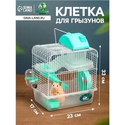 Клетка для грызунов «Пижон», 23×17×33 см, прозрачная, зелёное наполнение