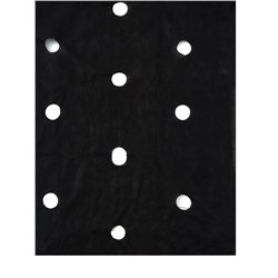 Материал мульчирующий, с перфорацией (4 ряда), 20×1.6 м, плотность 80 г/м², спанбонд с УФ-стабилизатором, чёрный, Greengo, Эконом 30%