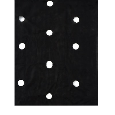 Материал мульчирующий, с перфорацией (4 ряда), 20×1.6 м, плотность 80 г/м², спанбонд с УФ-стабилизатором, чёрный, Greengo, Эконом 30%