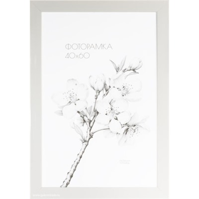Фоторамка 40х60 /2900A-012AL/