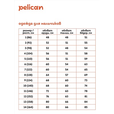 PELICAN Шорты
