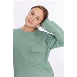 Костюм (толстовка+брюки) 223074а