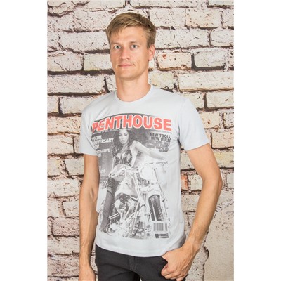 Футболка 201934 серый PHILIPP PLEIN