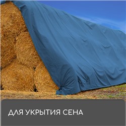Тент защитный, 5×3 м, плотность 60 г/м², УФ, люверсы шаг 1 м, тарпаулин, УФ, голубой