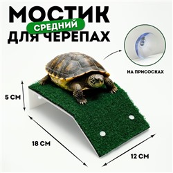 Мостик для черепах средний, на присосках, 18×12×5 см