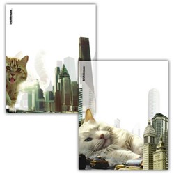 Обложка 212х347 мм для тетрадей и дневника Big City Cats пластиковые набор 12 шт., ассорти 63508 ErichKrause