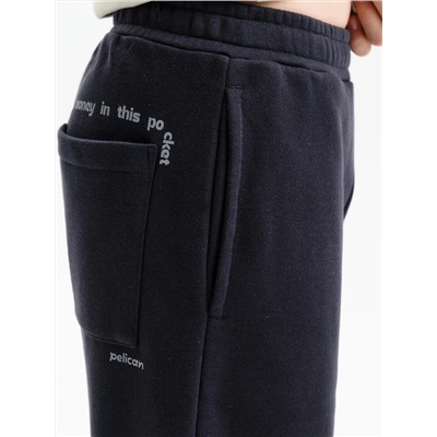 PELICAN Брюки BFPQ3388
