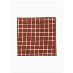 Платки носовые мужские «Этель», 30×30 см, набор 12 шт., 100% хлопок, коричневые, рисунок МИКС