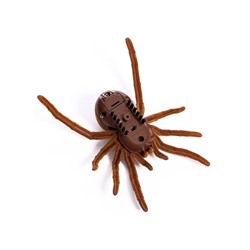 Жучок «Тарантул», работает от батареек