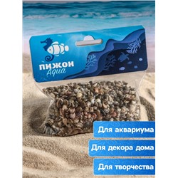 Набор ракушек Умбониум Вестериум, 100 г