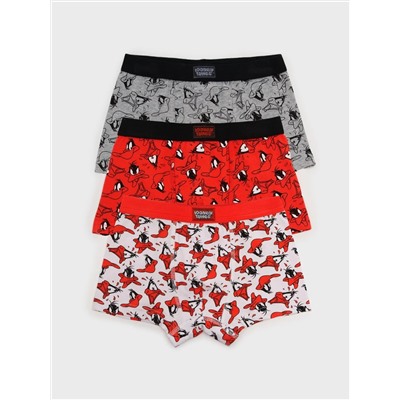 PLAYTODAY Трусы 32432038