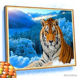 Алмазная мозаика на подрамнике 40x50 Зима / YSG0432 /уп 30/