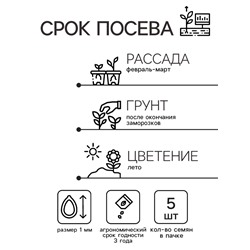 Семена цветов Катарантус "Тату Малина", 5 шт