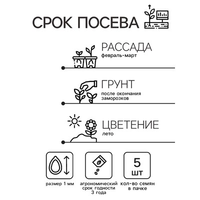 Семена цветов Катарантус "Тату Малина", 5 шт