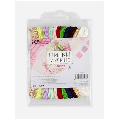 Нитки мулине №11/12, 8±1 м, набор 12 шт., разноцветные