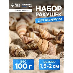 Набор ракушек 100 г