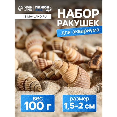 Набор ракушек 100 г