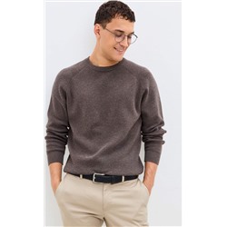 Свитер P521-1567 brown