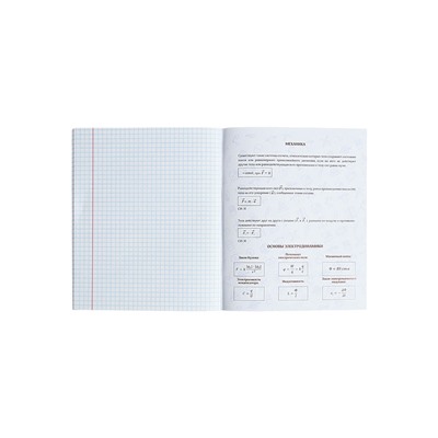 Предметная тетрадь по физике Calligrata TOP «Школьный стиль», 48 листов, в клетку, со справочным материалом, пластиковая обложка