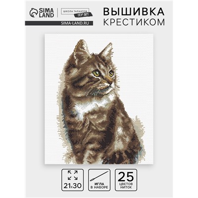 Вышивка крестиком «Домашний кот», набор для творчества, 21×30 см