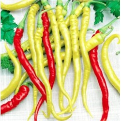 Beros Pepperoni Hungarian — Берос Пеперони Венгерский Слабоострый Перец (10 семян)