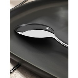 Ложка столовая Magistro «Блинк», длина 22 см, нержавеющая сталь, серебристая