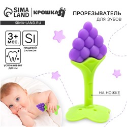 Прорезыватель силиконовый Крошка Я «Виноградик», на ножке