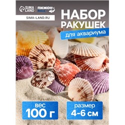 Набор ракушек Пектен Вексиллум средние, 4 - 6 см, 100 г