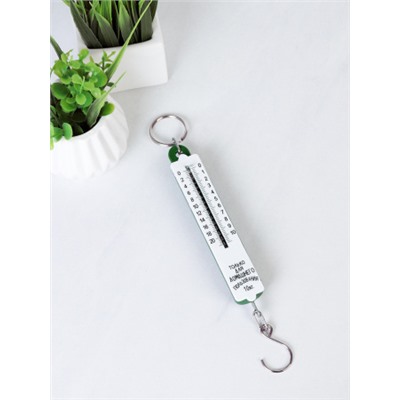 Весы безмен 10 кг / YD-10 /уп 100/400/