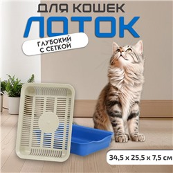 Лоток с сеткой 34.5×25.5×7.5 см, бежевый/синий