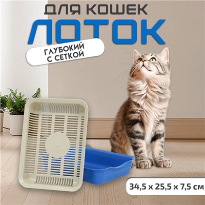 Лоток с сеткой 34.5×25.5×7.5 см, бежевый/синий