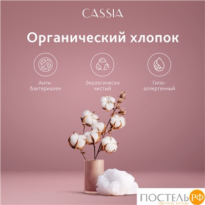 CASSIA АДЭМ Простыня на резинке 160х200+30, 1 пр., хл./сатин белый/коричневый