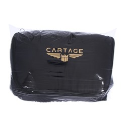 Термосумка Cartage Т-14, черная, 10 л, 26×19×19 см