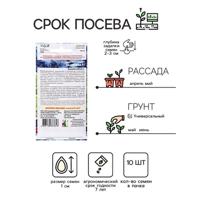 Семена Огурец "Сашенька", корнишон, F1, 10 шт