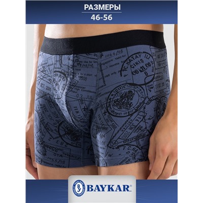 1412-184 Боксеры мужские (BAYKAR)