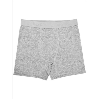 3310-20 Боксеры для мальчика серые (BAYKAR)