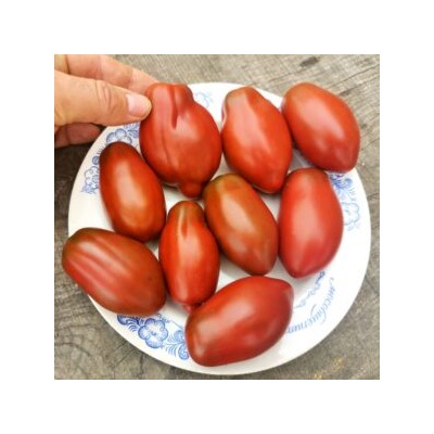 Помидоры Тёмный Космос — Deep Spase Tomato (10 семян)