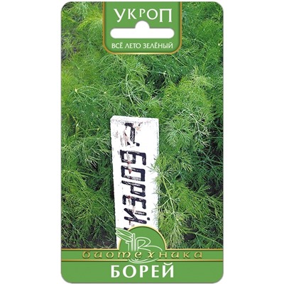 Укроп Борей