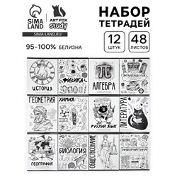 Тетради предметные, 48 л., набор из 12 шт., блок №1 «Скетчи»