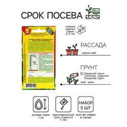 Семена Огурец "Пучковое очарование", F1,набор 5 шт