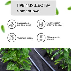 Материал мульчирующий, 10×1.6 м, плотность 80 г/м², спанбонд с УФ-стабилизатором, чёрный, Greengo, Эконом 30%