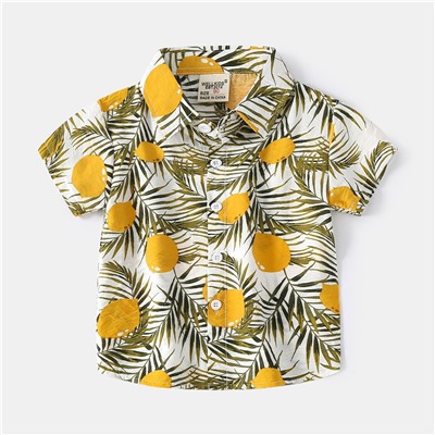 WELLKIDS tx2410