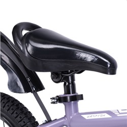 Велосипед 14" Krypton Beetle CB01-14FM цвет Dark Violet
