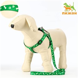 Комплект капроновый «Косточки и лапки», 1.5 см, шлейка 30-44 см, поводок 120 см, зелёный